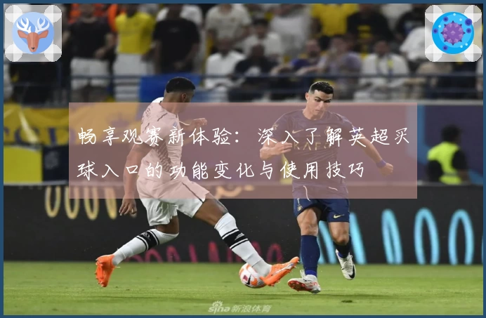 畅享观赛新体验：深入了解英超买球入口的功能变化与使用技巧
