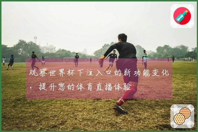 观察世界杯下注入口的新功能变化，提升您的体育直播体验