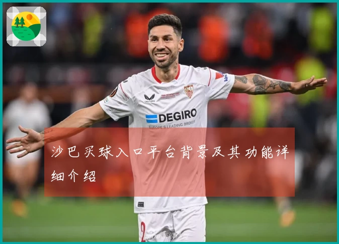 沙巴买球入口平台背景及其功能详细介绍