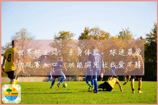 世界杯主站：亲身体验，球迷最爱的观赛入口，功能实用让我爱不释手