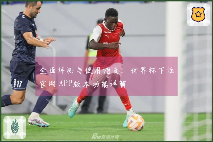全面评测与使用指南：世界杯下注官网 APP版本功能详解