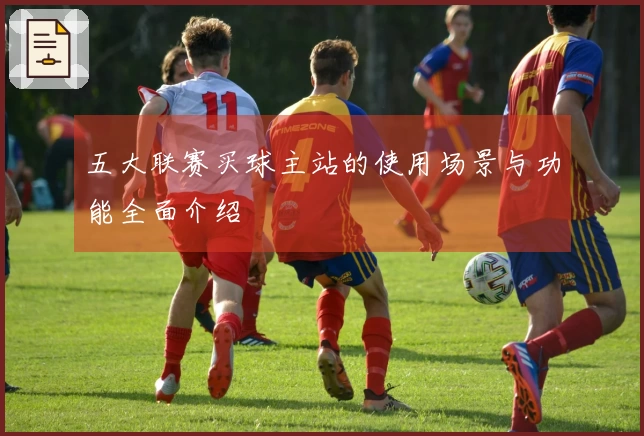 五大联赛买球主站的使用场景与功能全面介绍